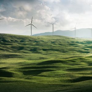Énergies  renouvelables : l’agriculture peut faire davantage